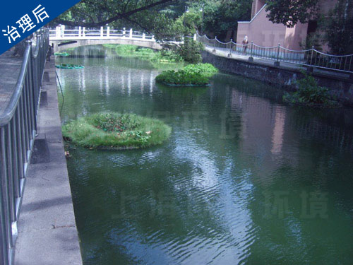 人工景觀河道生態(tài)治理工程