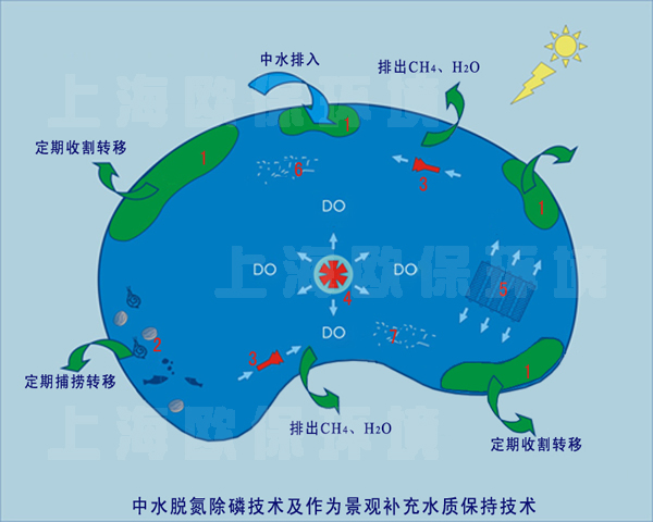 中水脫氮除磷處理方法