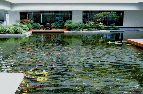 清水養(yǎng)魚技術(shù)