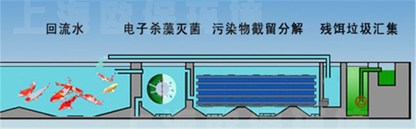 清水養(yǎng)魚技術(shù)