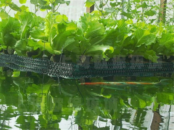 過(guò)濾型漂浮濕地污水凈化法