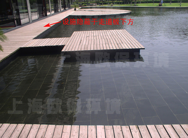 清水養(yǎng)魚技術(shù)