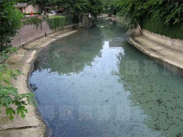 底改及強(qiáng)力復(fù)氧組合法