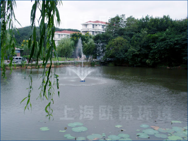 南京工業(yè)大學(xué),人工湖治理,浮水噴泉,浮水噴泉曝氣機(jī)