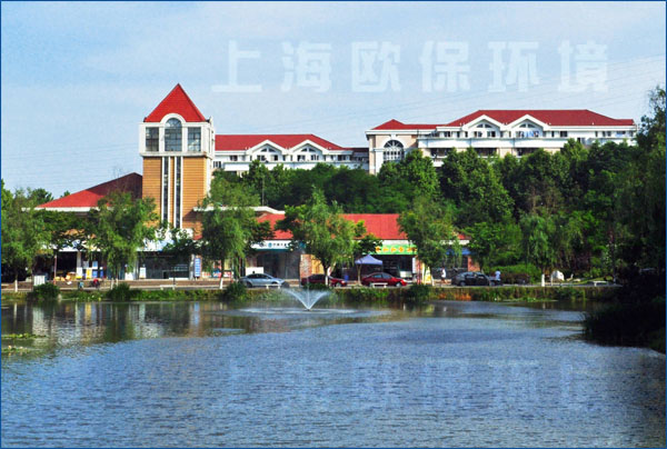 南京工業(yè)大學(xué),人工湖治理,浮水噴泉,浮水噴泉曝氣機(jī)