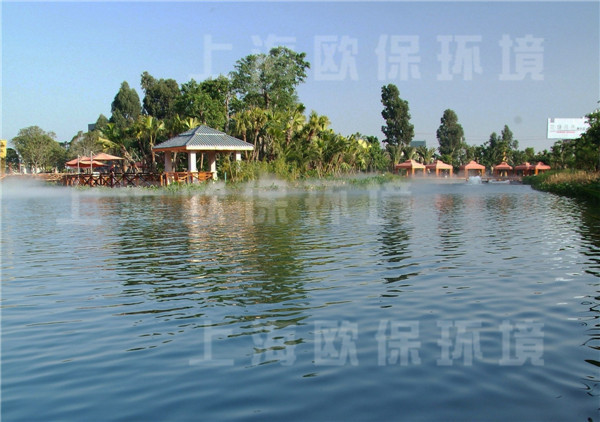 人工湖治理,景觀湖治理