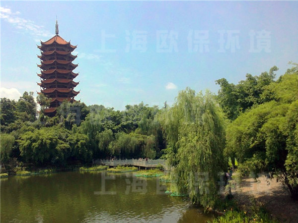 生態浮島,人工浮床在人工湖治理中的應用