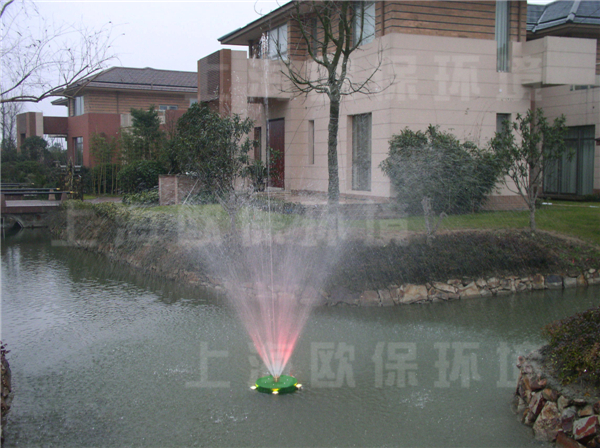 常州天安別墅，人工湖治理