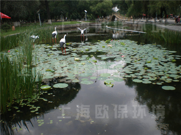 佳木斯杏林湖公園，人工湖治理，生態修復成果