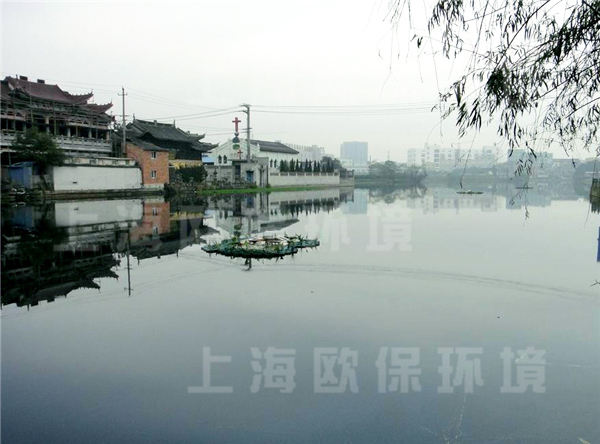 溫州上莊河道治理——強力造流曝氣機與生態(tài)浮島的結(jié)合