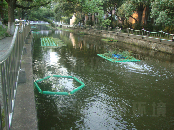 華東理工大學校園河道治理