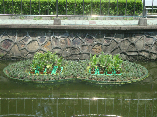 華東理工大學校園河道治理-生態浮島種植初期-樣式二