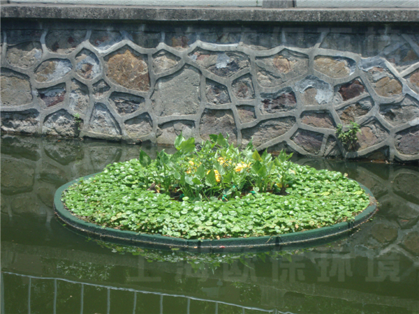 華東理工大學校園河道治理-生態浮島種植初期-樣式三