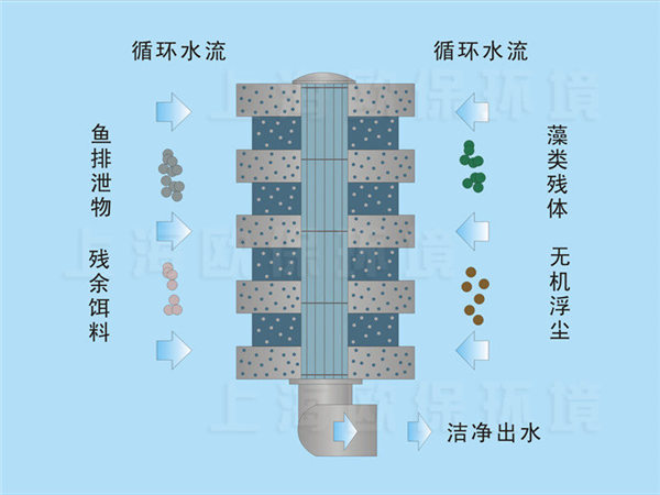 箱式生物過濾單元凈水機理
