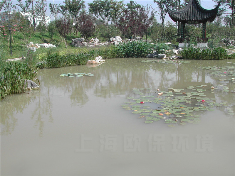 新建邊坡的不穩定，泥沙流失到湖體中造成水體濁度升高