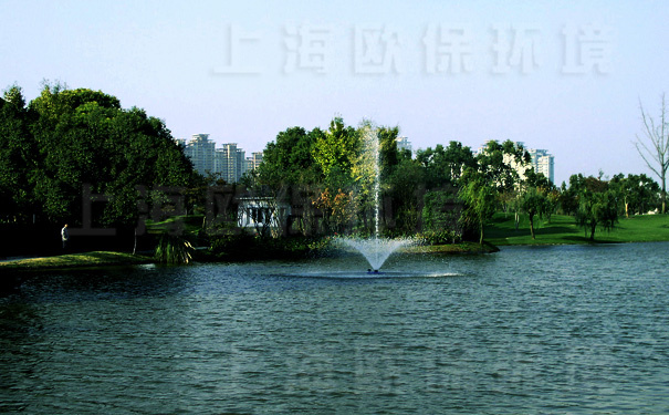 浮水噴泉曝氣機在湯臣高爾夫人工湖治理中應用（六）