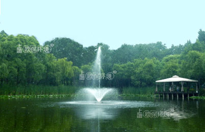 浮水噴泉曝氣機工況
