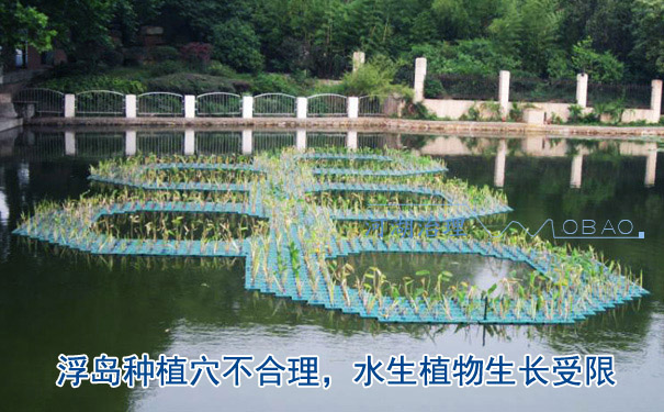 生態(tài)浮島選型不當