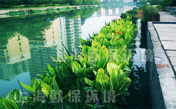 第一代生態(tài)浮島