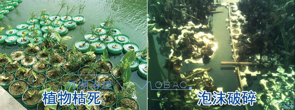 泡沫生態(tài)浮島