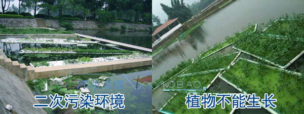 框架生態(tài)浮島
