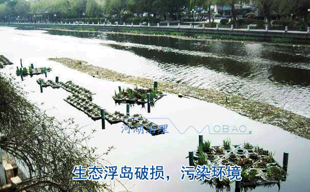 單元型生態(tài)浮島