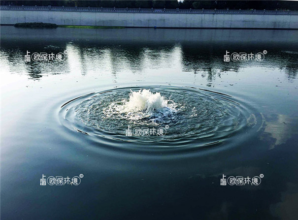 涌泉式曝氣機安裝在高爾夫景觀河道中工作狀態