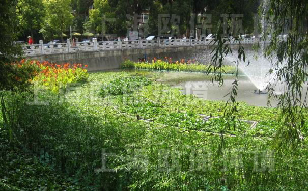 氧化塘增容凈化裝置-應(yīng)用于富營養(yǎng)化人工湖