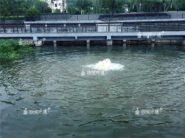 涌泉式曝氣機在公園人工湖中應用