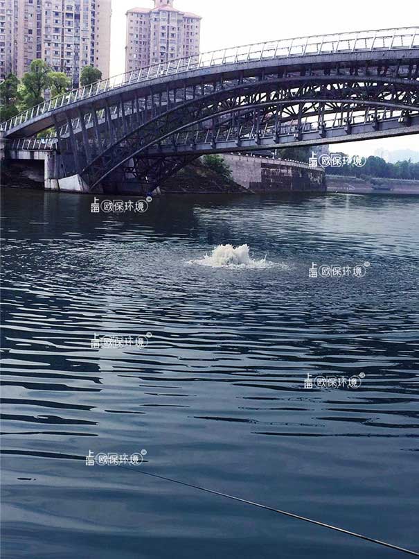  涌泉式曝氣機河道中的應用