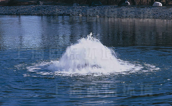 涌泉曝氣機在公園人工湖中應用