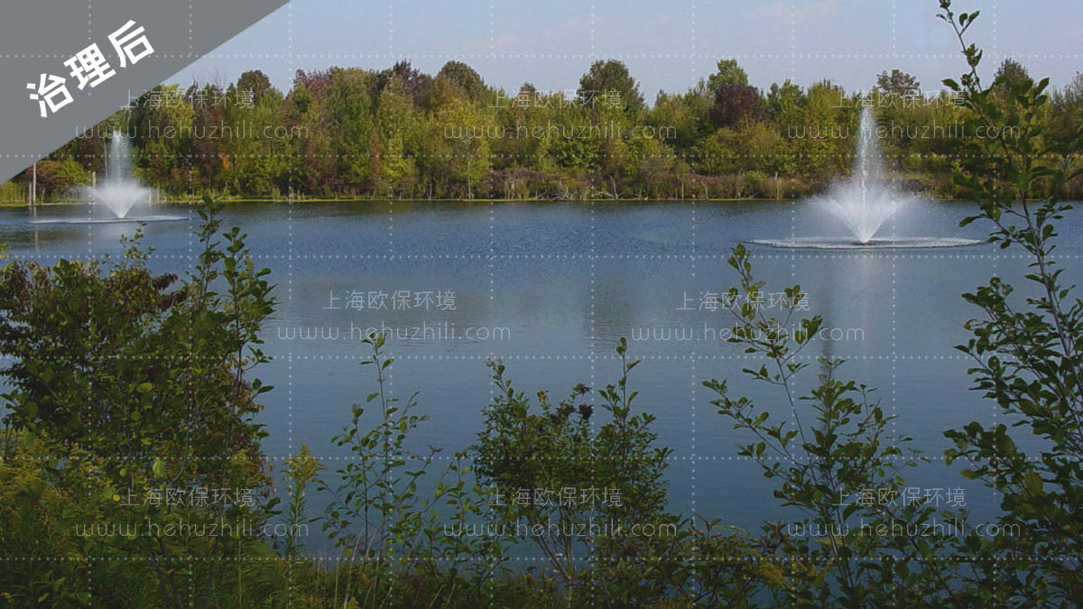 使用后-FANS2200噴泉曝氣機強化水體自凈，水色自然