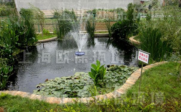 采用太陽能為動力的浮水噴泉與生態(tài)過濾系統(tǒng)，建成農(nóng)村公園