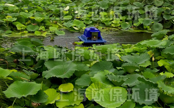 采用太陽能曝氣機與種植蓮藕結(jié)合的氧化塘工藝