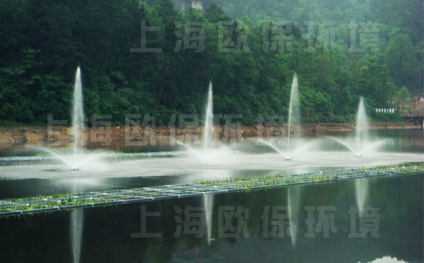 生態(tài)浮床與浮水噴泉式曝氣機