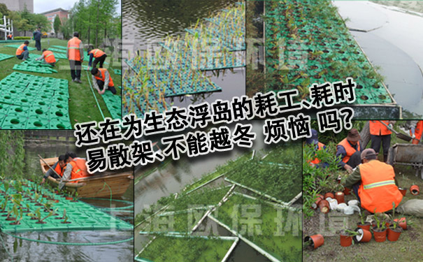 普通生態(tài)浮島存在的問題