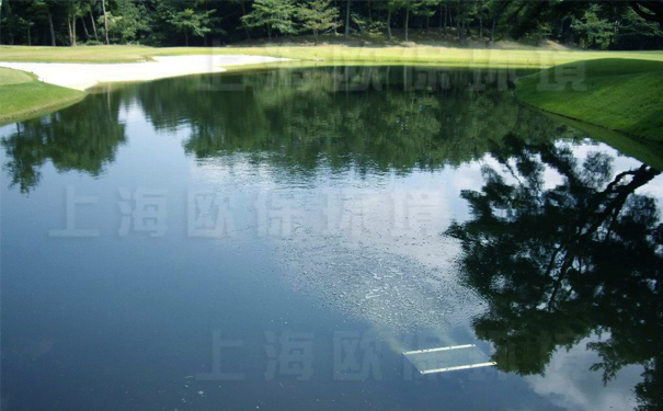 高爾夫凈水設(shè)備-造流曝氣機(jī)-不影響整體景觀