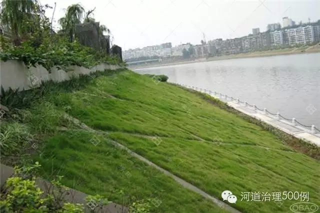 生態護堤