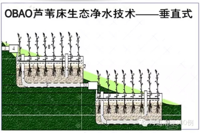 蘆葦床生態(tài)凈水系統(tǒng)