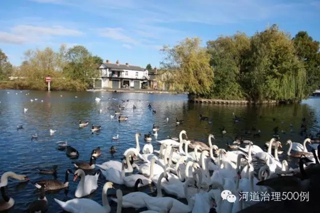 英國泰晤士河生態(tài)治理