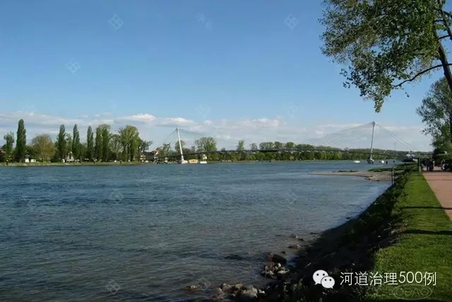 生態(tài)系統(tǒng)重建后