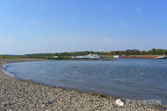 生態(tài)系統(tǒng)重建后