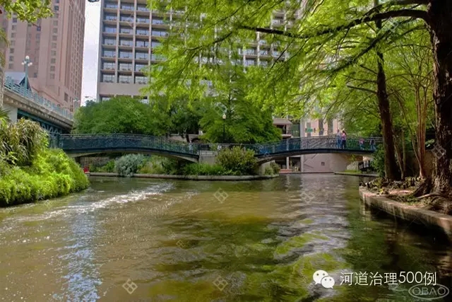 排污口濕生環境改造