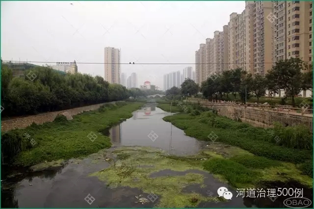 小清河現狀一角，仍有部分地方改善不佳