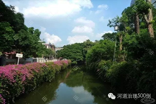 生態(tài)綠色長廊