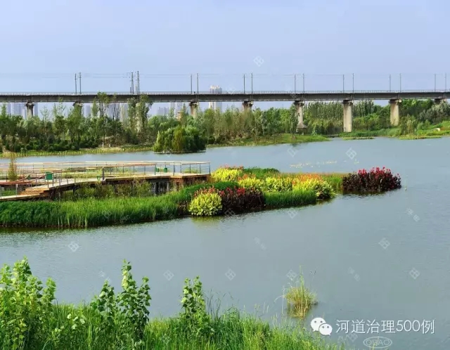 渭河陜西段生態治理