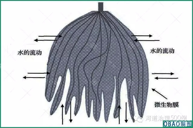 生態草結構示意圖