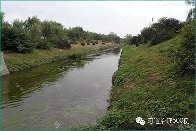 生態治理后，馬草河正在慢慢恢復生機