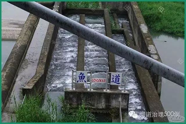 混凝土構(gòu)筑的魚道