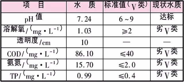 蝦龍圩治理段水質監測結果與分析